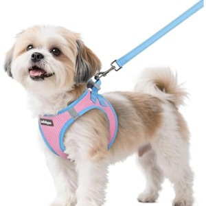rabbitgoo Dog Harness Small Sized Reflective Puppy Vest for Small Dogs, Pink & Light Blue, S - 1 of 1