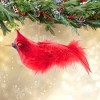 Italian Ornaments 3.0 Inch Song Of The Cardinal Bird Glass Ornament Ohio Tree Ornaments - 2 of 4