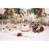 Jeanne Fitz Exterior Icon Set of 4 Tumblers Holly Berry - 4 of 4