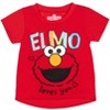 Sesame Street Elmo Abby Cadabby T-Shirt Tulle Skirt and Scrunchie 3 Piece Outfit Set Infant to Little Kid - 3 of 4