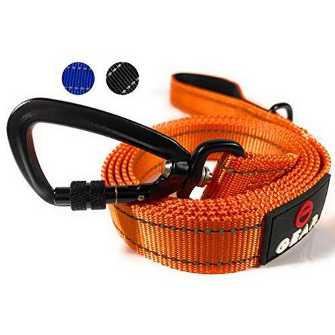 Locking Carabiner Nylon Dog Leash 1 Or 2 Handle Enthusiast Gear Target
