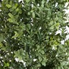 Nearly Natural 5-ft UV Resistant Artificial Boxwood Topiary Tree (Indoor/Outdoor) - 3 of 4