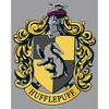 Boy's Harry Potter Hufflepuff Gold Crest Pull Over Hoodie - 2 of 4