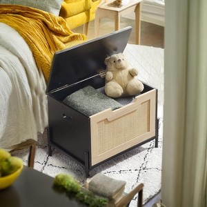 Rattan Storage Bench with Safety Hinge, 23.6/39.4 in Entryway Bench with Storage, Shoe Storage Bench Chest, End of Bed Bench with Side Handles - 1 of 4