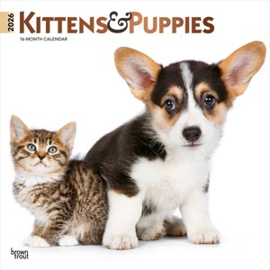 BrownTrout Kittens and Puppies 2026 12"x24" Hanging Square Wall Calendar Plastic-Free - 1 of 4