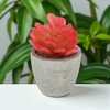 Unique Bargains Artificial Plants New Lotus in Mini Pulp 2.76"x2.76"x4.53" 1 Pc - 2 of 4