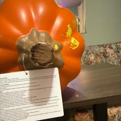 Guest review image 2 of 5, zoom in