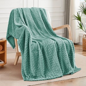 Aoibox Soft Fleece Throw Blanket for Couch, Cozy Lightweight Blanket with Decorative Wave Texture, Suitable for All Seasons, Celadon Color - 1 of 4