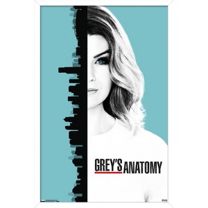Trends International Grey's Anatomy Season 13 - One Sheet Framed Wall Poster Prints - 1 of 4