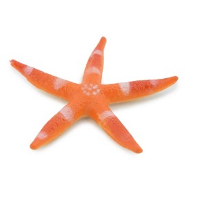 Collectible Wildlife Gifts | Starfish, Sea Star, Echinoderms,  Asteroidea, Ocean, Sea Life, Plastic ,  Animal, Life Like, Gift,   2 "   F931 B158 - 1 of 4