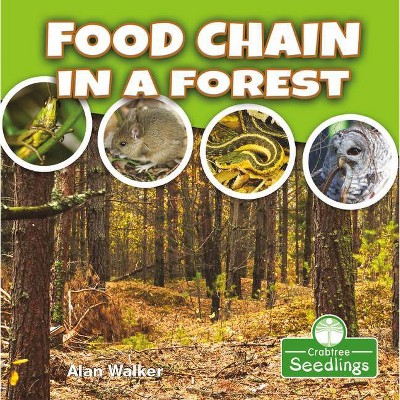 Food Chain in a Forest - (My First Science Books) by  Alan Walker (Paperback)