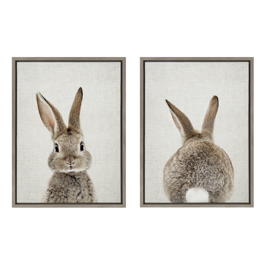 (set Of 2) 18" X 24" Sylvie Bunny Portrait And Tail By Amy Peterson Framed Wall Canvas Set Gray Kate & Laurel All Things Decor