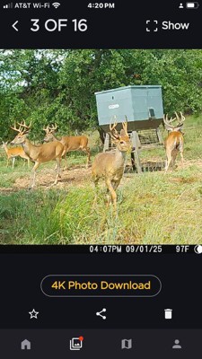 Guest review image 1 of 3, zoom in