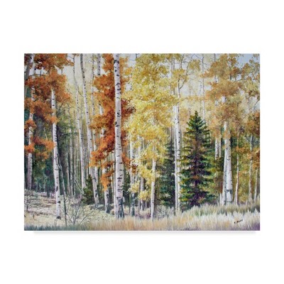 Angel Fire Aspens Autumn Landscape Framed Canvas Art 24'' x 32''