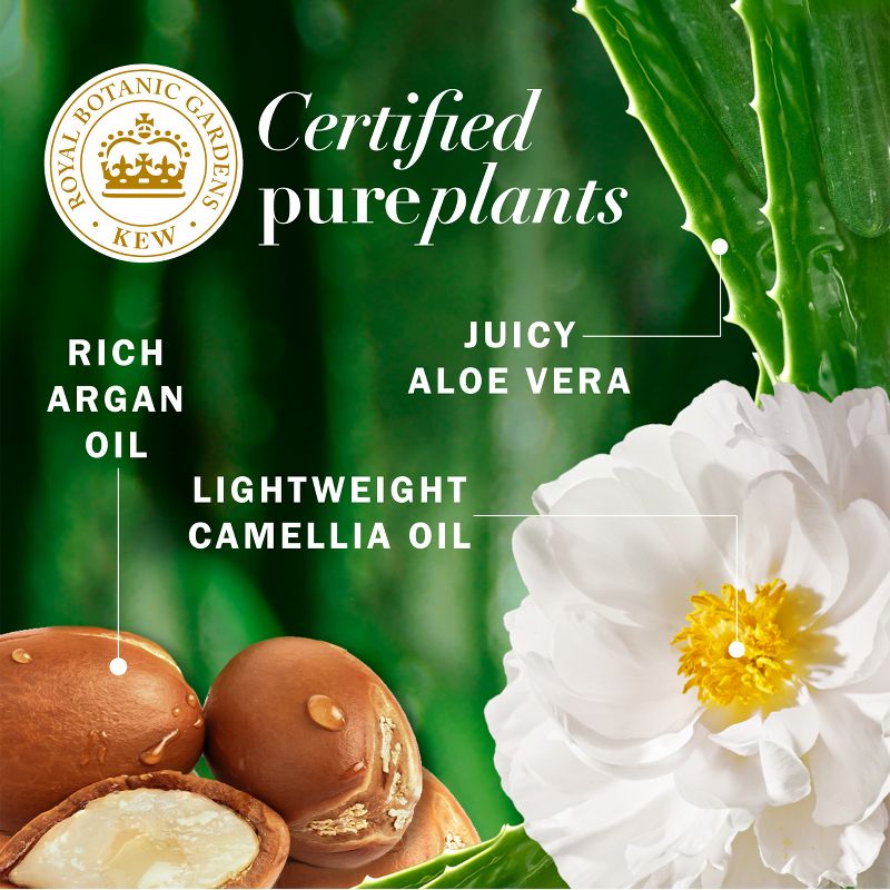 Herbal Essences Pure Plants Blend Argan Oil Repairing Color-Safe Shampoo/Conditioner Dual Pack - 13.5 fl oz/2ct, 6 of 16