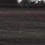 beige, light blue, cream, navy, gray