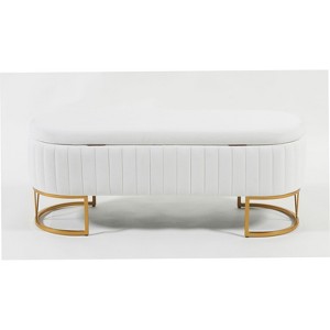 PAGED Storage Bench Oval Velvet Entryway Bench Modern Foot Stool with Lift-Top Lid and Sturdy Metal Legs for Entryway, Bedroom - 1 of 4