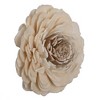 Vickerman 1-3" Natural Botanicals Assorted Natural Dried Sola Flower Head - 2 of 3