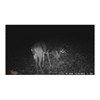 Wildgame Innovations Terra Extreme 14MP IR Trail Infrared Camera (Bark) - 2 of 3