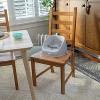 Ity by Ingenuity My Spot Easy-Clean Baby Booster Seat Feeding Chair - 3 of 4