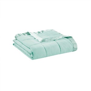 NicBex Lightweight Down Alternative Blanket with Satin Trim,Fuzzy Cozy Luxury Blanket Microfiber for Bed Chair Couch - 1 of 4