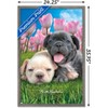 Trends International Keith Kimberlin - Bulldog Puppies Framed Wall Poster Prints - 3 of 4