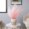 Uniquewise Preserved Real Floral Stems Chic Vase Fillers & Accents for Bouquets Centerpieces - 4 of 4
