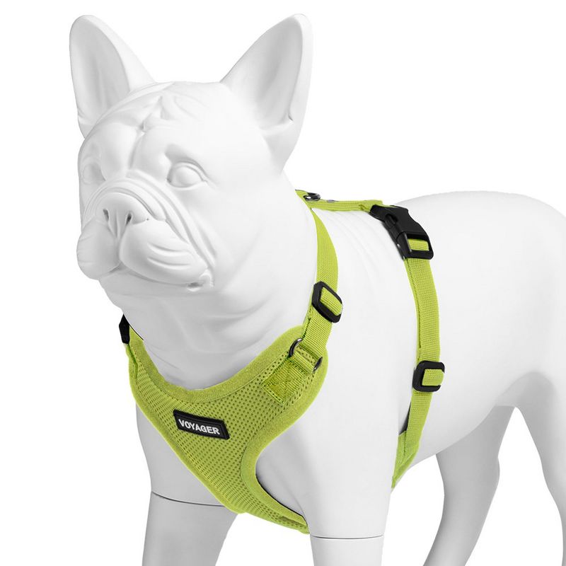 Voyager Step-In Lock Adjustable Dog & Cat Harness for All Breeds, 4 of 7