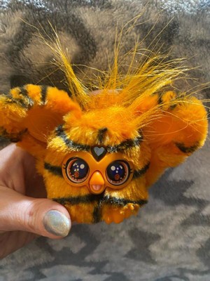 Guest review image 3 of 4, zoom in