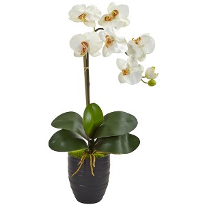 Nearly Natural Phalaenopsis Orchid in Black Vase, Cream - 1 of 1