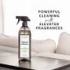 Maison&Muse All Purpose Spray Cleaner - 25.36 fl oz - 3 of 4