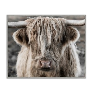Stupell Industries Detailed Highlands Cattle Rural Farm Photography Black Framed Giclee Art - 1 of 4