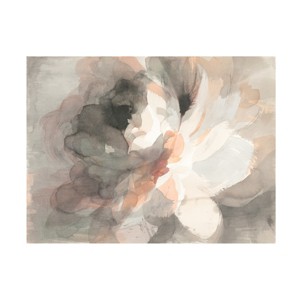 Trademark Fine Art -Danhui Nai 'Abstract Peony' Canvas Art - 1 of 4