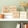 4 Pack Unfinished Wood Blocks For Diy Crafts, Rectangle Sign Block For Home  Wall Decor, 4 X 6 In : Target