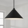 Capital Lighting Alden 1 - Light Pendant in  Matte Black - 3 of 4