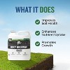 Turf Titan Root Booster Hose End Lawn Probiotic & Garden Booster- 6000 Sq Ft (32 oz) - 2 of 4