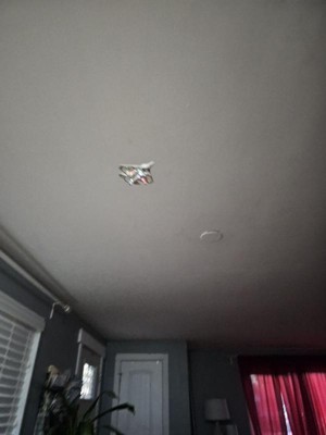 Guest review image 1 of 1, zoom in