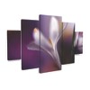 Trademark Fine Art Heidi Westum  Midnight Crocus 5 Piece Panel Set Art - 2 of 3