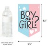 Big Dot of Happiness Baby Gender Reveal - Team Boy or Girl Party Bunting Banner - Party Decorations - Gender Reveal - 2 of 4