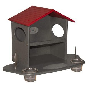 JCS Wildlife Squirrel Snack Station (Small & Large) - 1 of 4