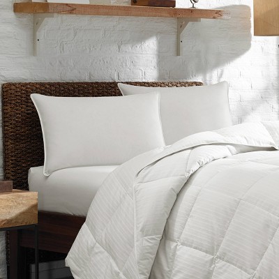 Euro 2pk RDS Bed Pillow - Eddie Bauer