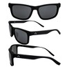 2 Pairs of Alpha Omega AO6 Safety Motorcycle Sunglasses - 4 of 4