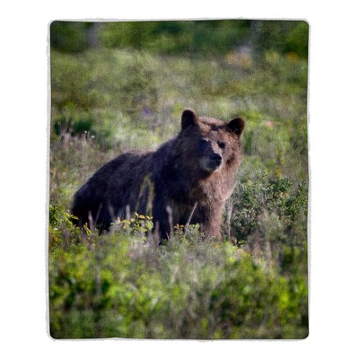Sherpa Fleece Throw Blanket- Grizzly Bear Print Pattern, Lightweight Hypoallergenic Bed or Couch Soft Plush Blanket by Hastings Home