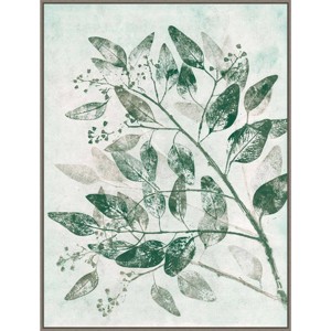 32" x 42" Eucalyptus I Green by Pernille Folcarelli Framed Canvas Wall Art Print - Amanti Art: Oversized Botanical Decor - 1 of 4