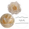 Floral Home 8" Pick Ivory Rose - 50-Piece - 2 of 4