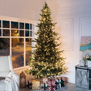 Home Imports Emporium 6.5/7.5/9ft Christmas Tree with Lights, Tree Prelit with 921/1266/2106 Branch Tips, 500/700/1100 Warm Lights and Metal Stand - 1 of 4
