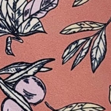 coral pink and white
