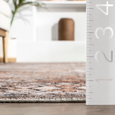 Mae 8' x 10' Brown Synthetic Oriental Washable Area Rug