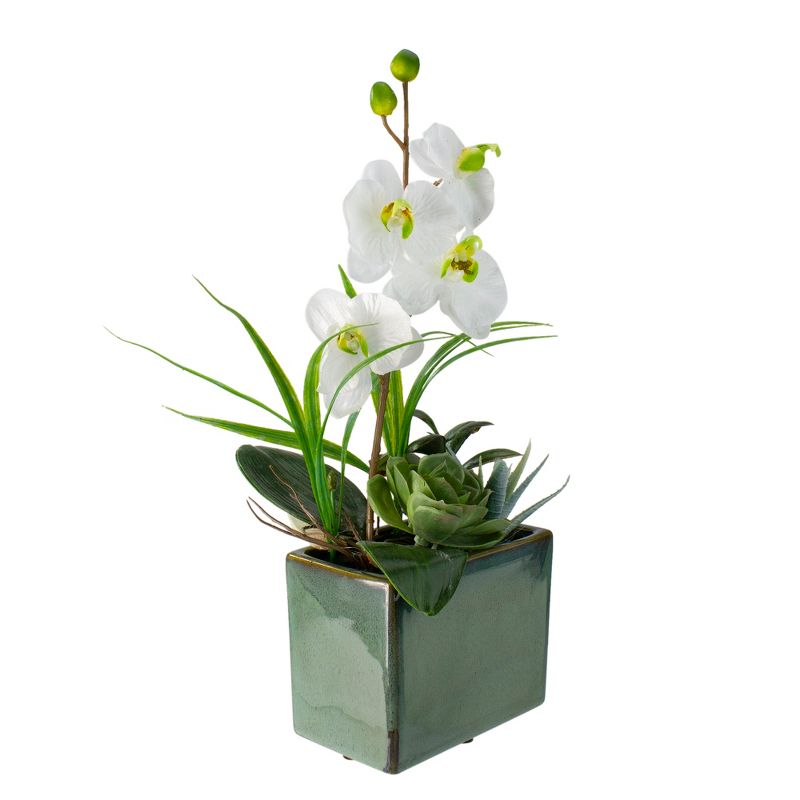 Northlight 12" Orchid and Succulents Artificial Potted Flower Arrangement - Green/White, 2 of 5