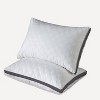 Dr. Pillow Sepoveda Bed Sleep Pillow - 3 of 4